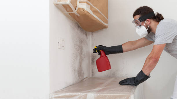 Professional Crawl Space Mold Remediation technician working in Central City, PA