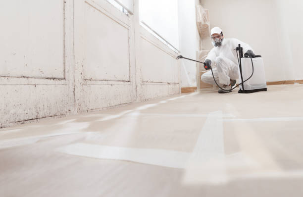 24/7 Emergency Crawl Space Mold Remediation experts in Central City, PA