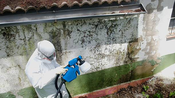 Top rated local Crawl Space Mold Remediation specialists in Central City, PA